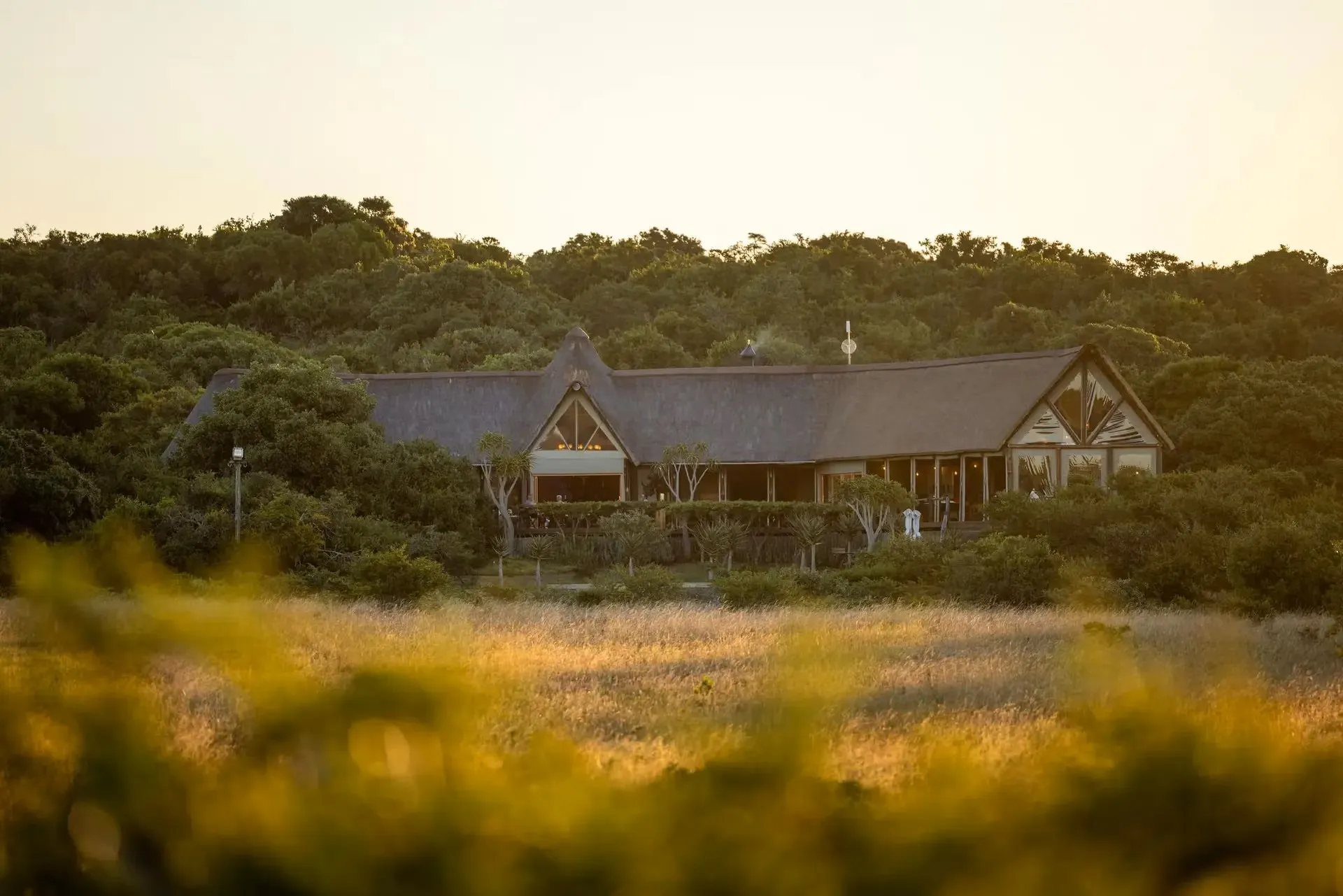 Amakhala Bush Lodge - 3